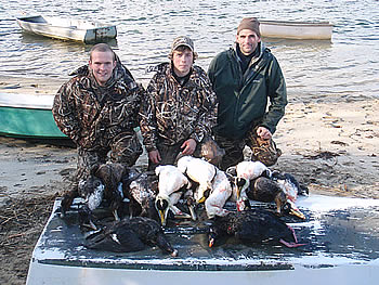Limited out, eiders and surf scoters Limited out, eiders and surf scoters