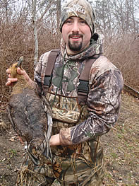 Showing off the bling, a ringed seaduck from Nova Scotia