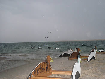 The view from a pond box as the sea ducks coming into the decoys